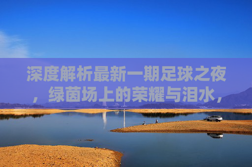 深度解析最新一期足球之夜，绿茵场上的荣耀与泪水，见证传奇时刻