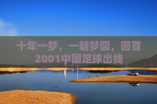 十年一梦,一朝梦圆,回首2001中国足球出线