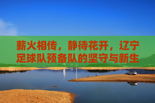 薪火相传,静待花开,辽宁足球队预备队的坚守与新生
