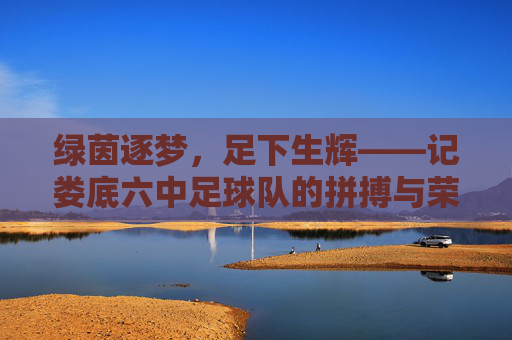 绿茵逐梦，足下生辉——记娄底六中足球队的拼搏与荣光