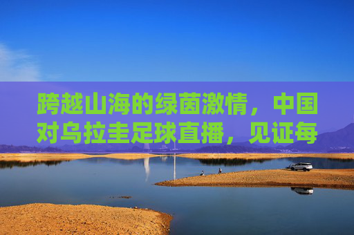 跨越山海的绿茵激情，中国对乌拉圭足球直播，见证每一次心跳