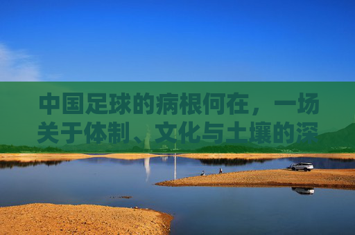 中国足球的病根何在，一场关于体制、文化与土壤的深层拷问