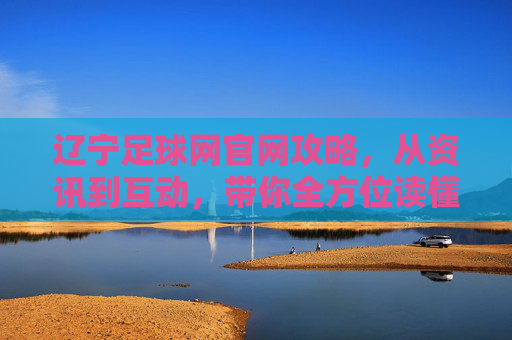 辽宁足球网官网攻略,从资讯到互动,带你全方位读懂辽足