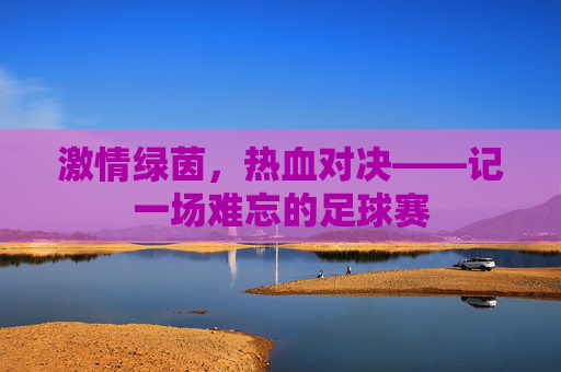 激情绿茵，热血对决——记一场难忘的足球赛