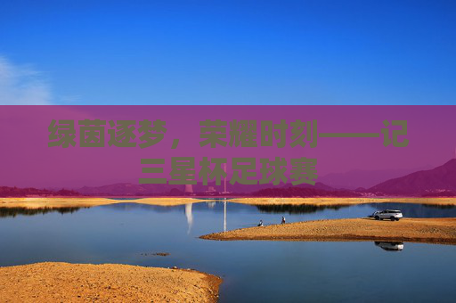 绿茵逐梦，荣耀时刻——记三星杯足球赛