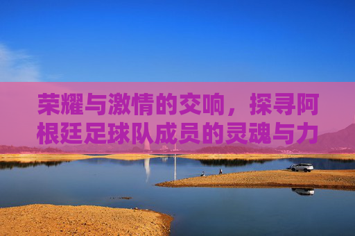 荣耀与激情的交响，探寻阿根廷足球队成员的灵魂与力量
