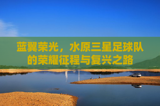 蓝翼荣光,水原三星足球队的荣耀征程与复兴之路