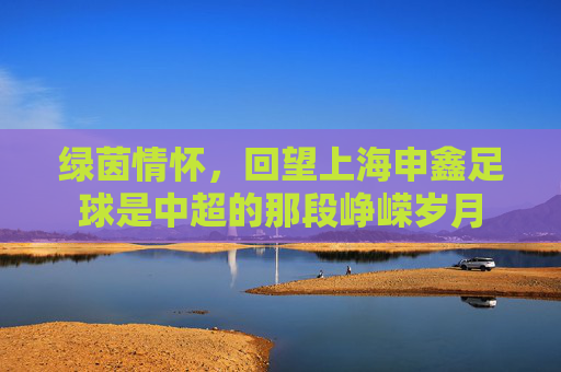 绿茵情怀,回望上海申鑫足球是中超的那段峥嵘岁月
