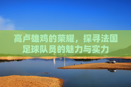 高卢雄鸡的荣耀,探寻法国足球队员的魅力与实力