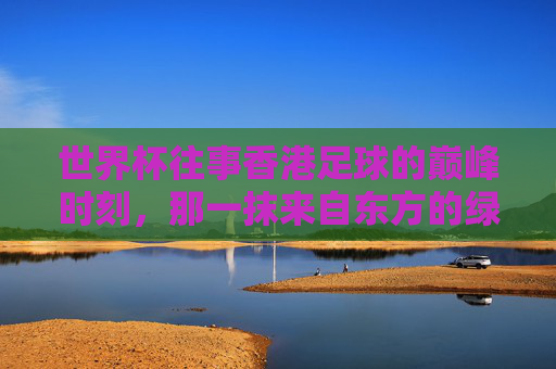 世界杯往事香港足球的巅峰时刻,那一抹来自东方的绿茵之光