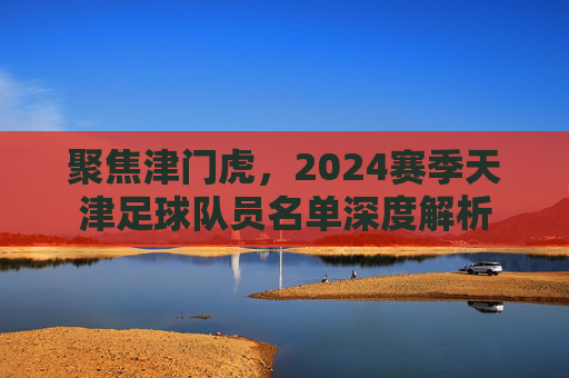 聚焦津门虎,2024赛季天津足球队员名单深度解析