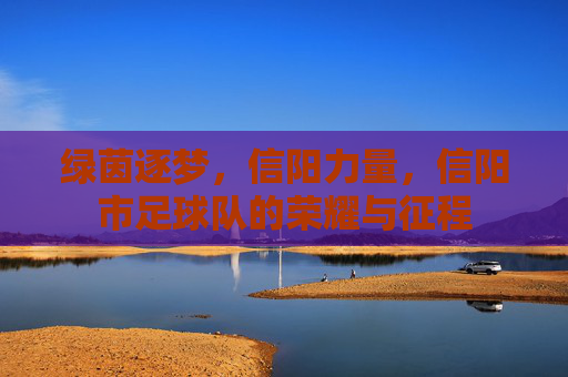 绿茵逐梦,信阳力量,信阳市足球队的荣耀与征程