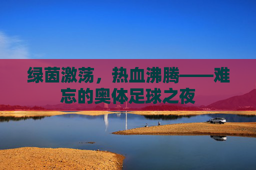 绿茵激荡,热血沸腾——难忘的奥体足球之夜