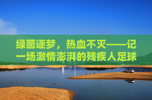 绿茵逐梦,热血不灭——记一场激情澎湃的残疾人足球赛