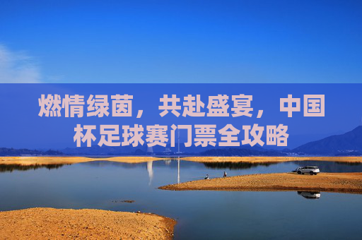 燃情绿茵,共赴盛宴,中国杯足球赛门票全攻略