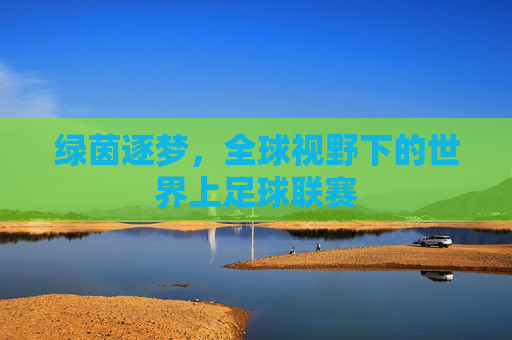 绿茵逐梦,全球视野下的世界上足球联赛