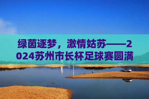 绿茵逐梦,激情姑苏——2024苏州市长杯足球赛圆满落幕