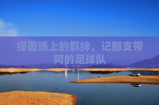 绿茵场上的羁绊，记那支带阿的足球队