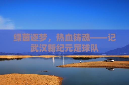 绿茵逐梦，热血铸魂——记武汉新纪元足球队