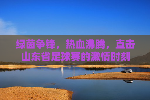 绿茵争锋,热血沸腾,直击山东省足球赛的激情时刻