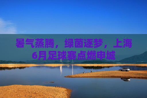 暑气蒸腾,绿茵逐梦,上海6月足球赛点燃申城