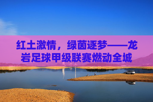 红土激情,绿茵逐梦——龙岩足球甲级联赛燃动全城