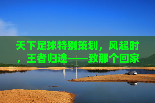 天下足球特别策划,风起时,王者归途——致那个回家的葡萄牙人