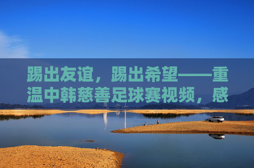 踢出友谊,踢出希望——重温中韩慈善足球赛视频,感受跨越国界的温暖