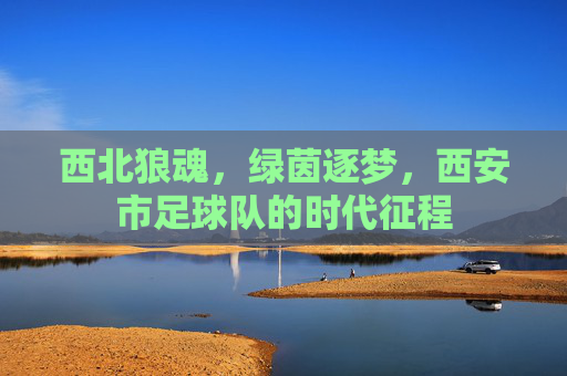 西北狼魂,绿茵逐梦,西安市足球队的时代征程
