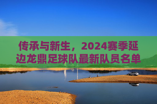 传承与新生,2024赛季延边龙鼎足球队最新队员名单全解析