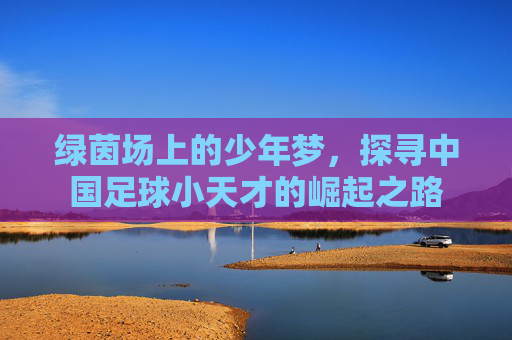 绿茵场上的少年梦,探寻中国足球小天才的崛起之路