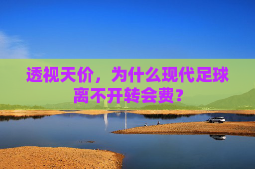 透视天价,为什么现代足球离不开转会费?