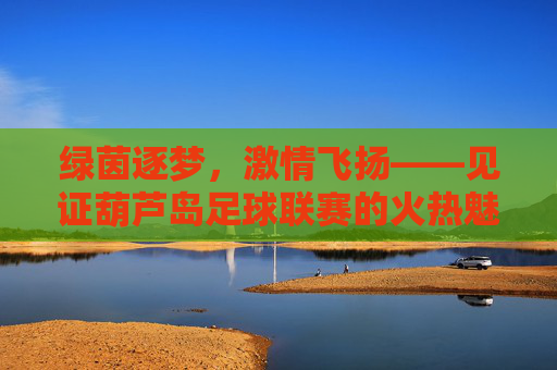 绿茵逐梦,激情飞扬——见证葫芦岛足球联赛的火热魅力