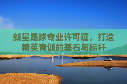 新星足球专业许可证,打造精英青训的基石与标杆