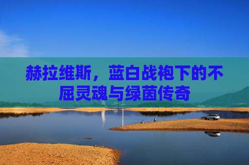 赫拉维斯,蓝白战袍下的不屈灵魂与绿茵传奇