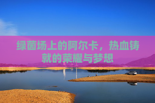 绿茵场上的阿尔卡,热血铸就的荣耀与梦想