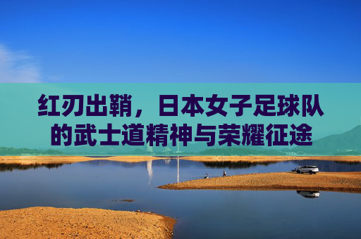 红刃出鞘,日本女子足球队的武士道精神与荣耀征途