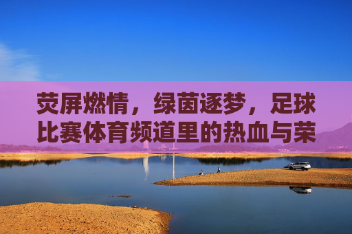 荧屏燃情,绿茵逐梦,足球比赛体育频道里的热血与荣耀