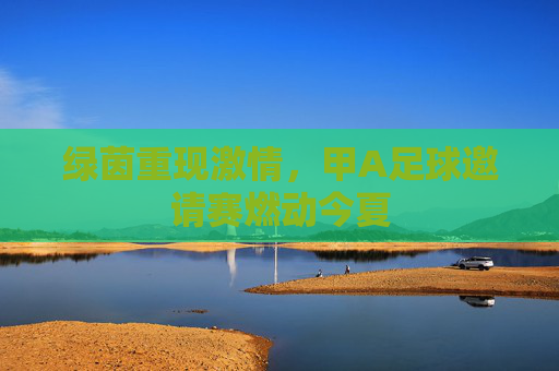 绿茵重现激情,甲A足球邀请赛燃动今夏