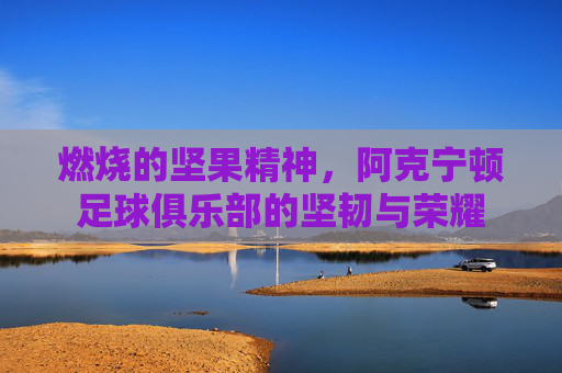 燃烧的坚果精神,阿克宁顿足球俱乐部的坚韧与荣耀