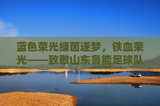 蓝色荣光绿茵逐梦,铁血荣光——致敬山东鲁能足球队员
