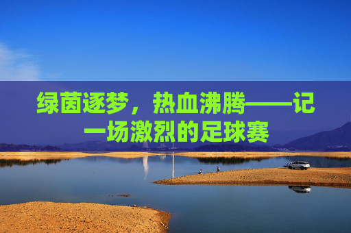 绿茵逐梦,热血沸腾——记一场激烈的足球赛
