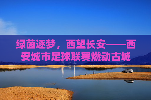 绿茵逐梦,西望长安——西安城市足球联赛燃动古城