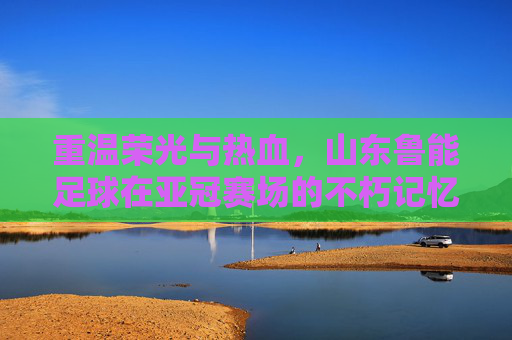 重温荣光与热血,山东鲁能足球在亚冠赛场的不朽记忆