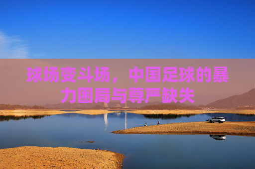 球场变斗场,中国足球的暴力困局与尊严缺失