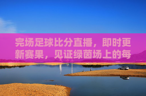 完场足球比分直播,即时更新赛果,见证绿茵场上的每一个巅峰时刻