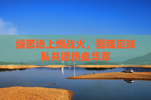 绿茵场上燃战火,蜀魂足球队共谱热血华章