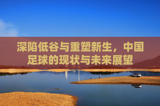 深陷低谷与重塑新生,中国足球的现状与未来展望