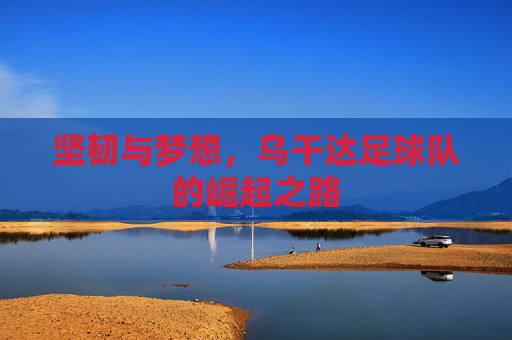 坚韧与梦想,乌干达足球队的崛起之路