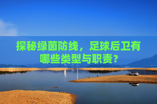 探秘绿茵防线,足球后卫有哪些类型与职责?